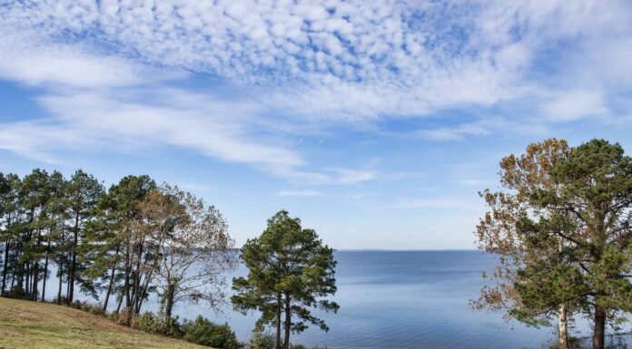Qual è il lago artificiale più grande della Louisiana
