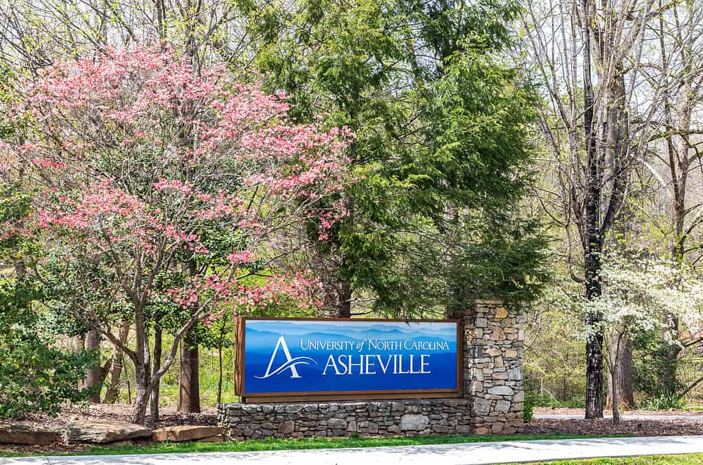 Asheville non è mai più bella di quando è adornata di fiori di ciliegio.