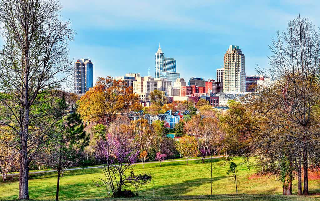 Raleigh, Carolina del Nord è adorabile in primavera.