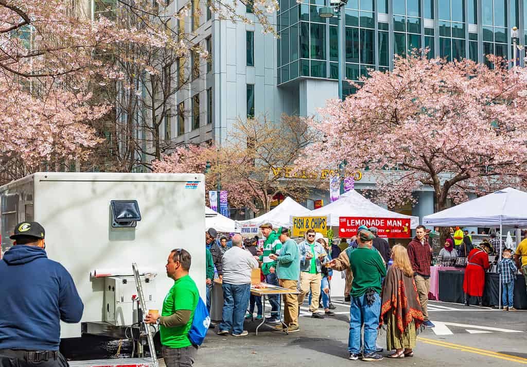 I venditori sotto i ciliegi in fiore attirano i festaioli affamati nel giorno di San Patrizio nei quartieri alti di Charlotte, Carolina del Nord.