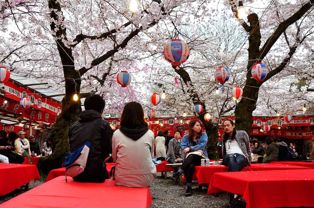 Kyoto, Giappone - 6 aprile 2016: Caffè all'aperto con tavoli rossi, lanterne e persone che si godono la fioritura dei ciliegi vicino al santuario di Hirano