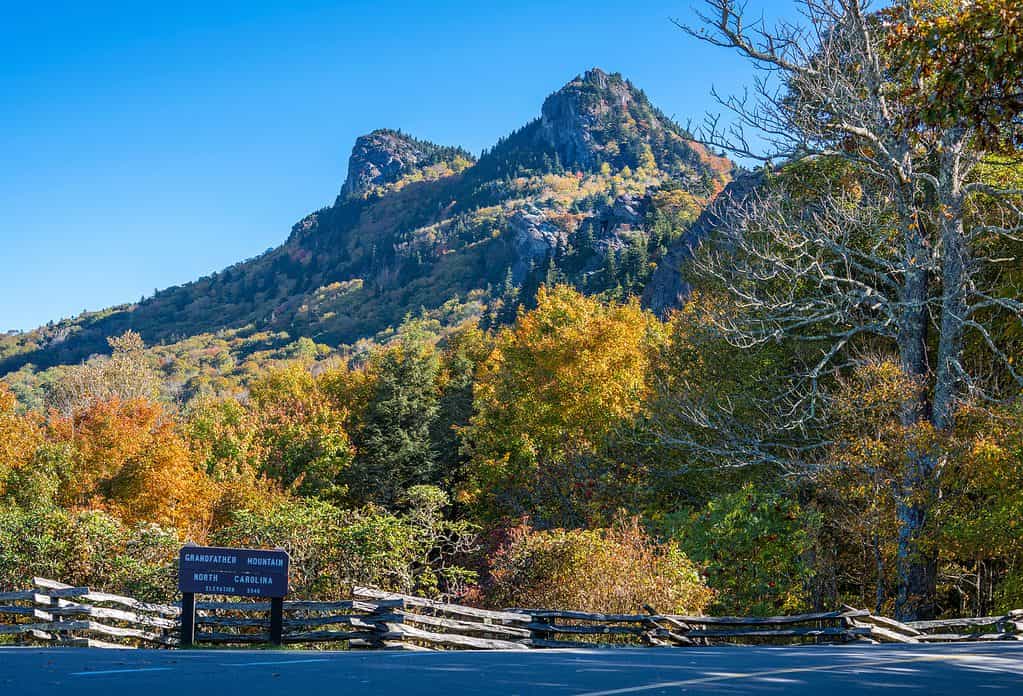 Splendido scenario di montagne autunnali.  Monti Appalachi in colori autunnali.  Nonno Mountain State Park.  Banner Elk, Carolina del Nord, Stati Uniti d'America