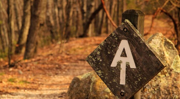 Classifica: le catene montuose più antiche degli Stati Uniti
