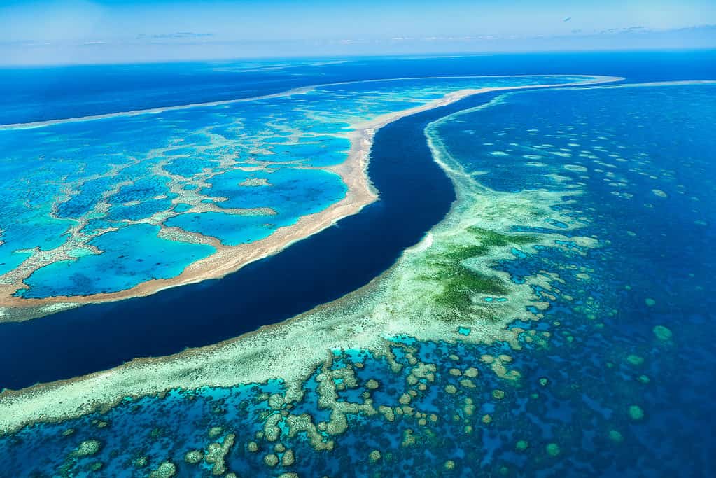 Grande barriera corallina in Australia