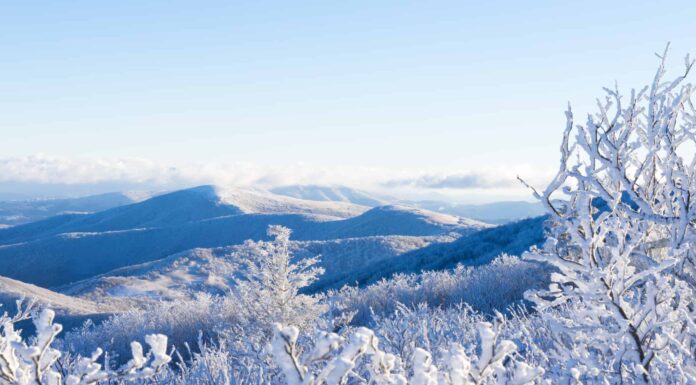 Scopri la più grande bufera di neve che abbia mai colpito la Carolina del Nord
