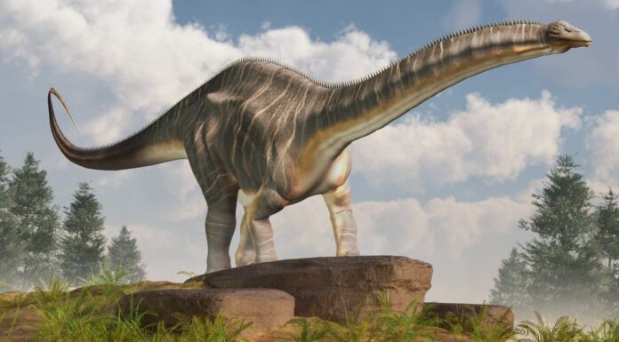 6 dinosauri che vivevano in Oklahoma (e dove vedere i fossili oggi)
