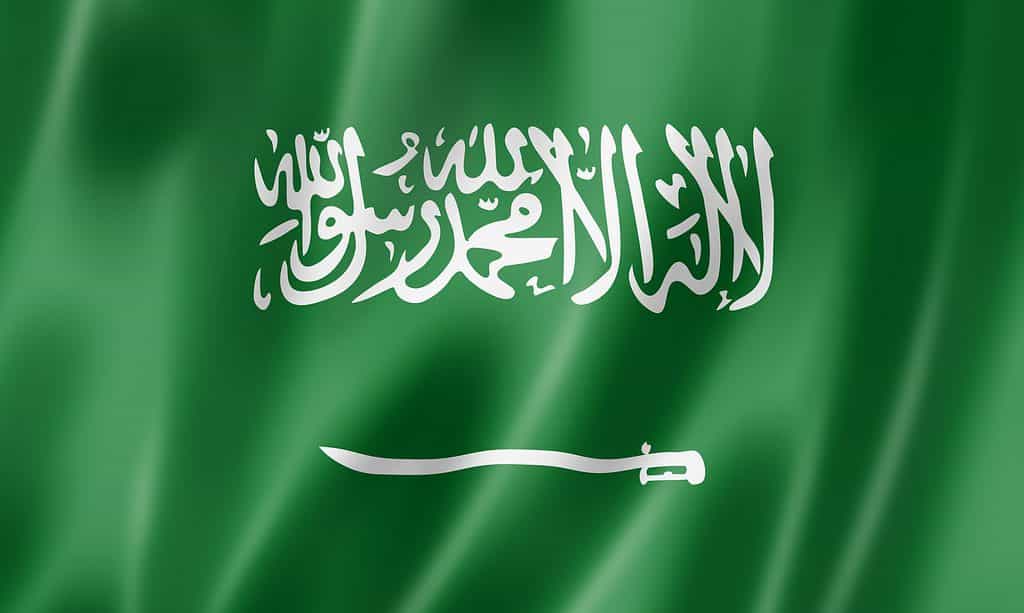 La bandiera dell'Arabia Saudita