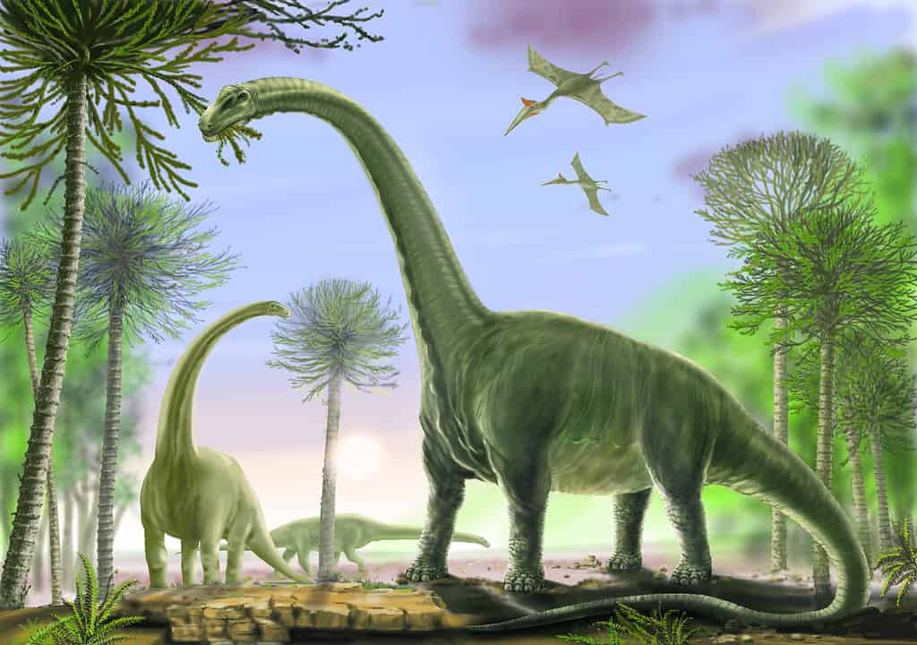 Giganteschi dinosauri sauropodi: i titanosauri raggiunsero lunghezze superiori a 120 piedi.