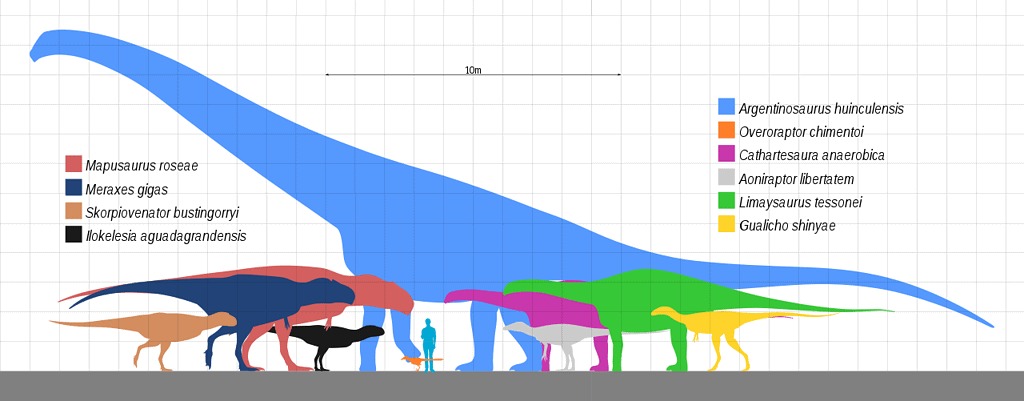 Huincul Formazione Dinosauria Scala