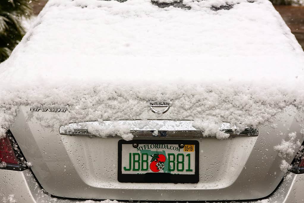 auto con la neve in Florida