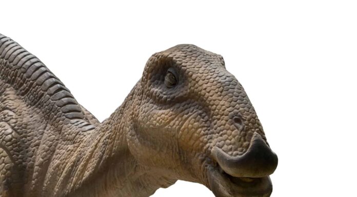 Dinosauri che vivevano in Iowa (e dove vedere i fossili oggi)

