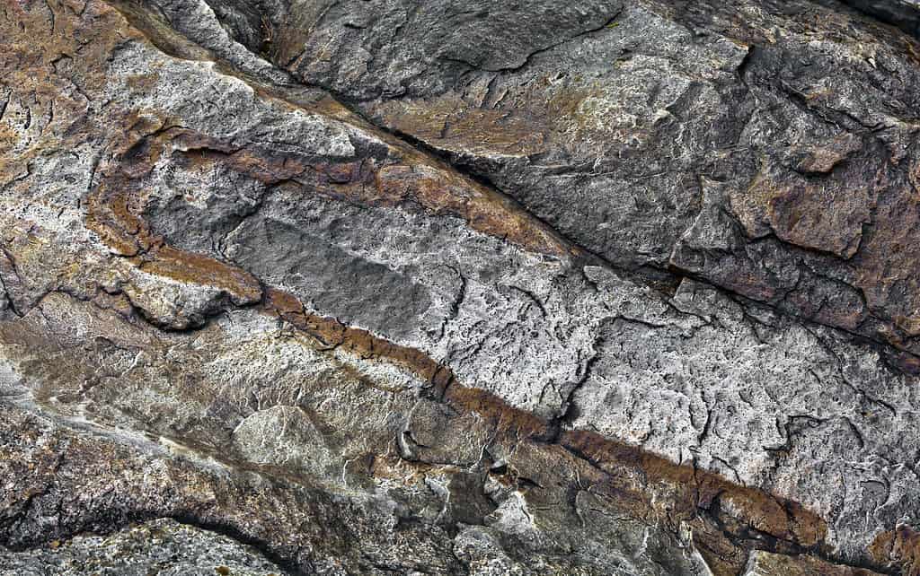 Il New Hampshire si trova su un granito che non può preservare i fossili