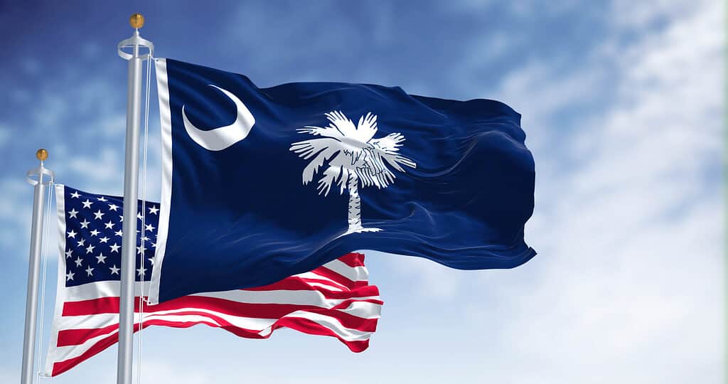 La bandiera dello stato della Carolina del Sud sventola insieme alla bandiera nazionale degli Stati Uniti d'America.  La Carolina del Sud è uno stato nella regione costiera del sud-est degli Stati Uniti