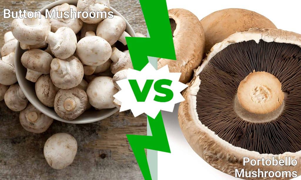 Funghi Bottoni vs Funghi Portobello