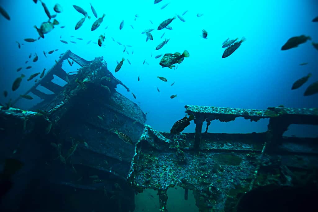 Primo piano del relitto sottomarino e dei pesci che lo chiamano casa