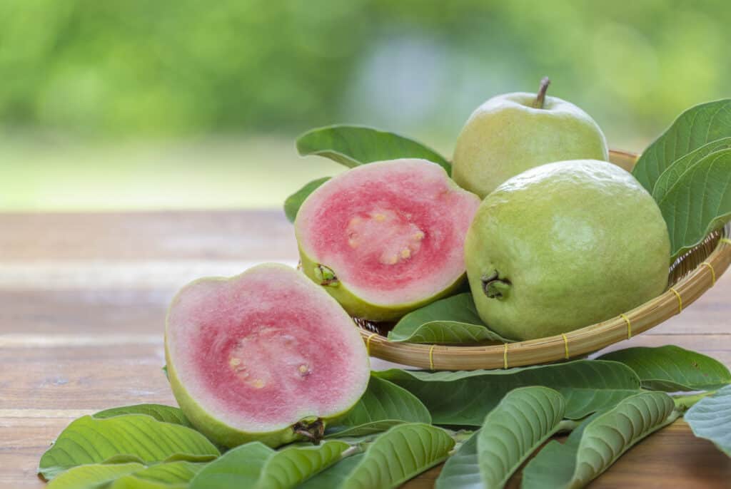 Frutta guava in una ciotola