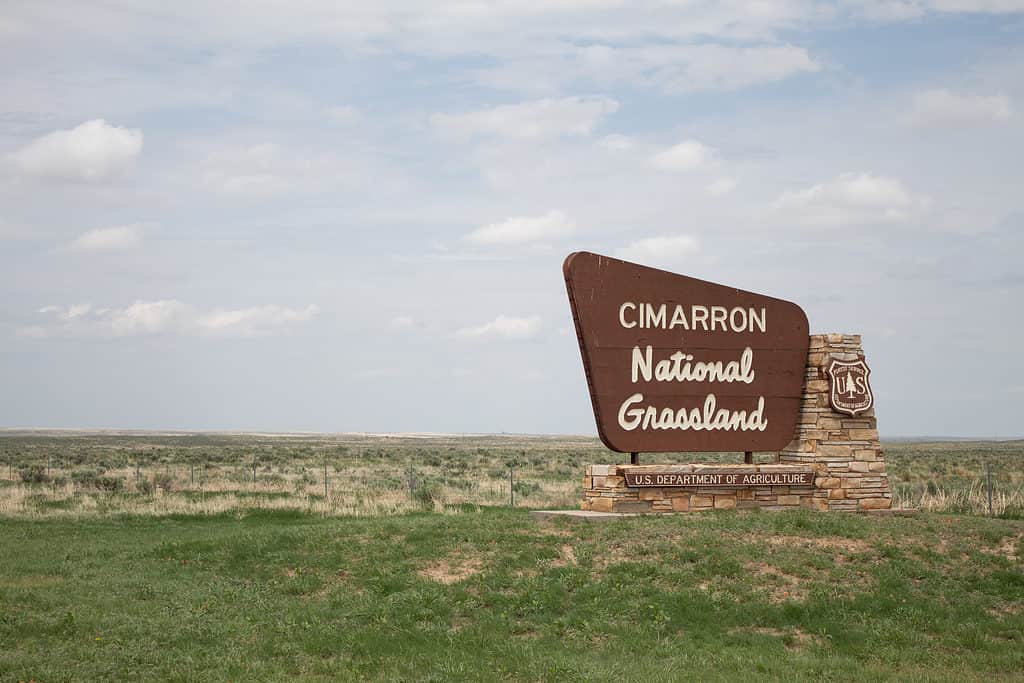 Prateria nazionale di Cimarron, Kansas