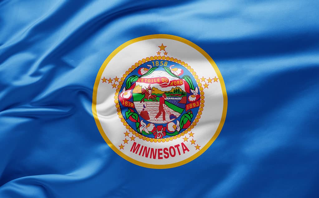bandiera del Minnesota