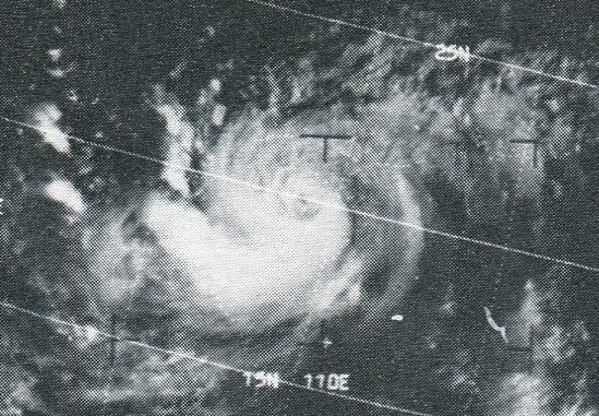 Tifone Cora