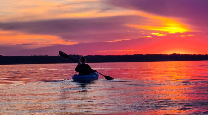 L'uomo della Florida ne trae il meglio e attraversa il loro quartiere allagato in kayak
