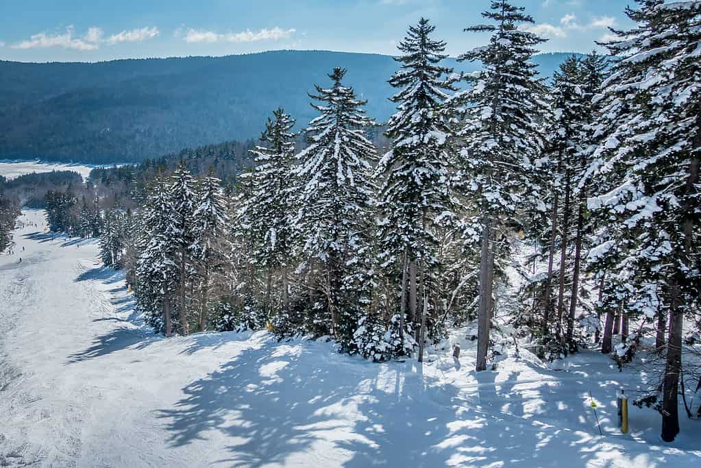 bellissima natura e paesaggi intorno alla stazione sciistica con racchette da neve a cass west virginia