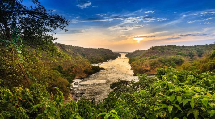 Nilo contro Amazzonia: quale fiume è più pericoloso?
