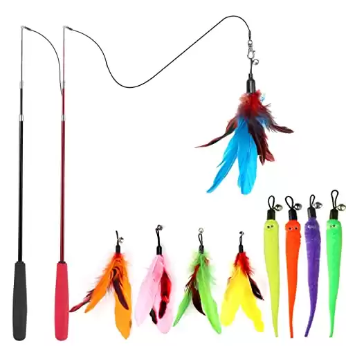 MeoHui Cat Fishing Pole Toys con allegati