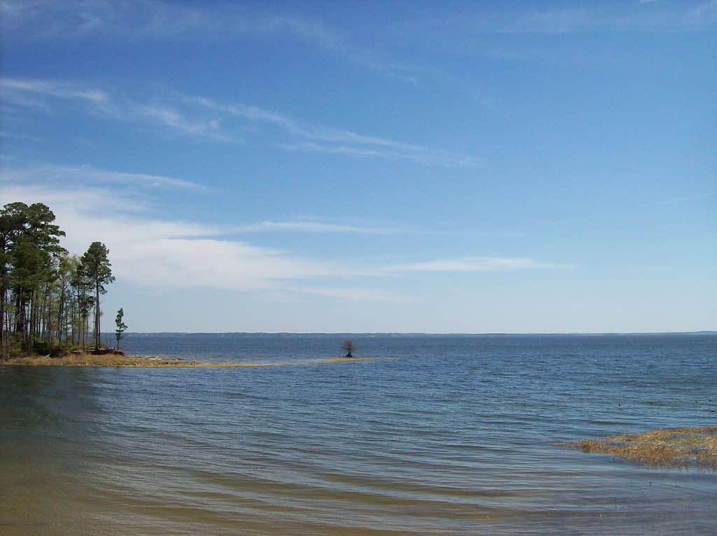 Il Toledo Bend Reservoir è il più grande lago artificiale del Texas