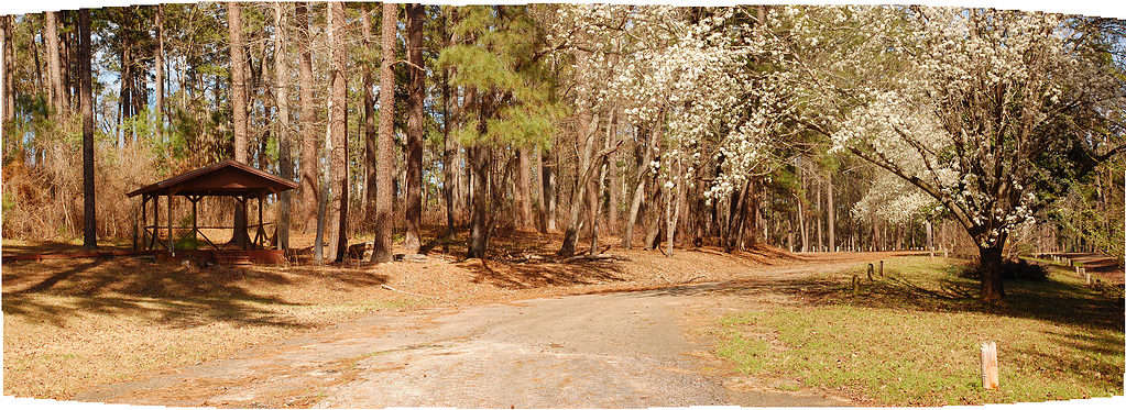 Sabine National Forest, Area ricreativa di Red Hills, Texas