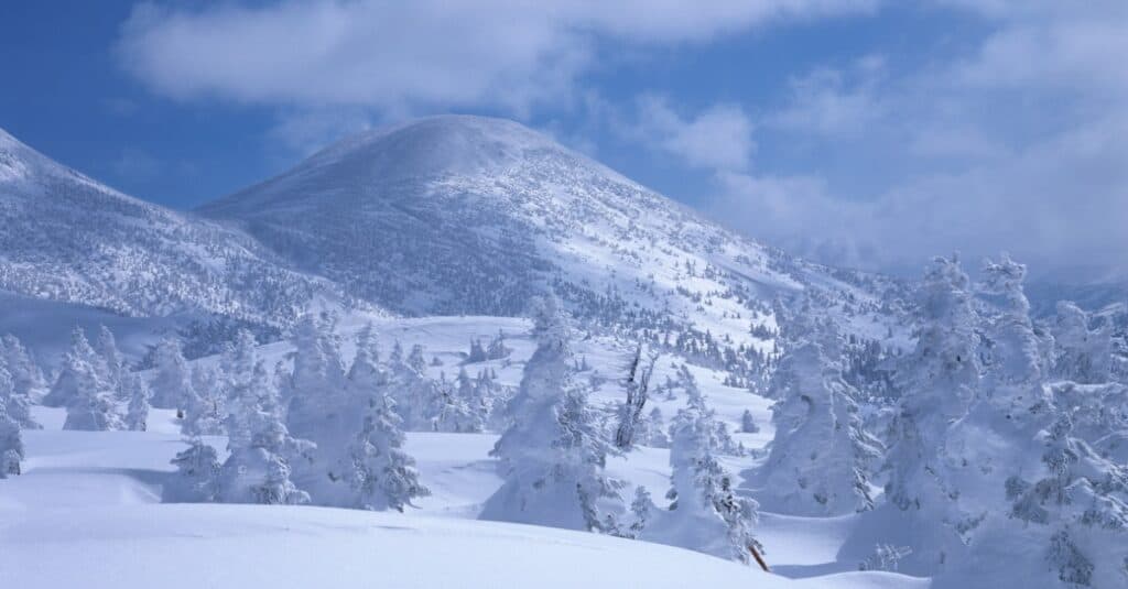 neve ad aomiri in giappone