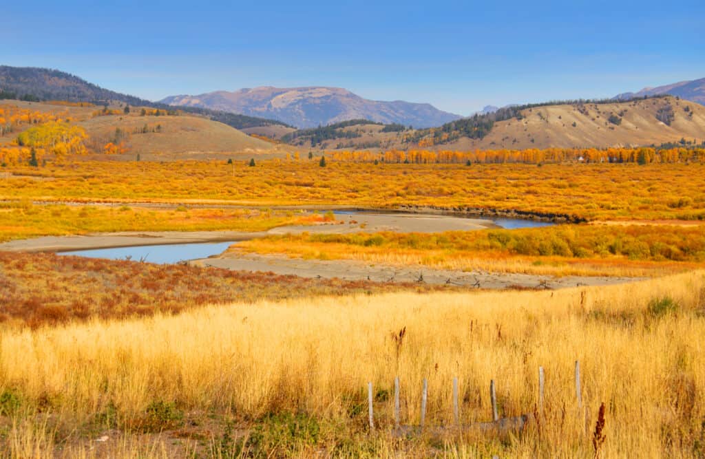 Parco nazionale di Yellowstone in autunno