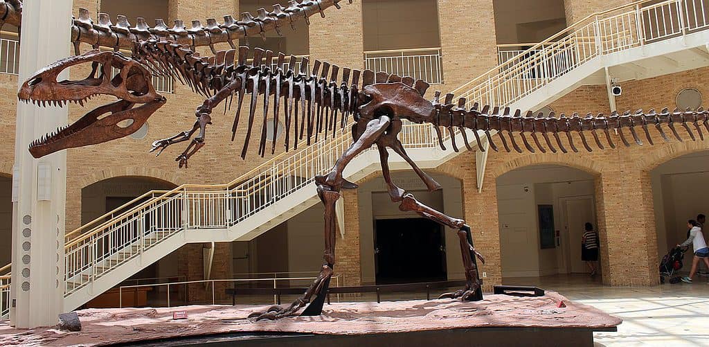 Giganotosaurus a Fernbank