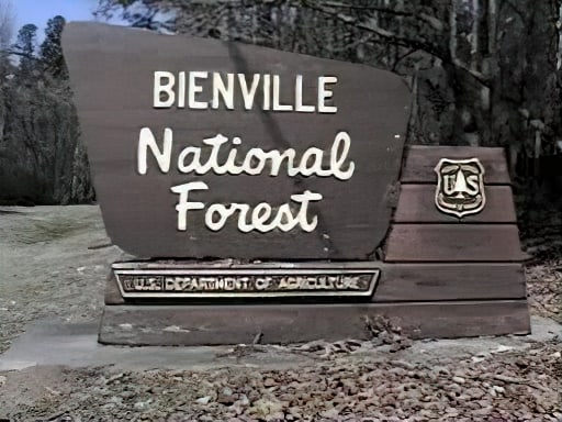 Foresta nazionale di Bienville