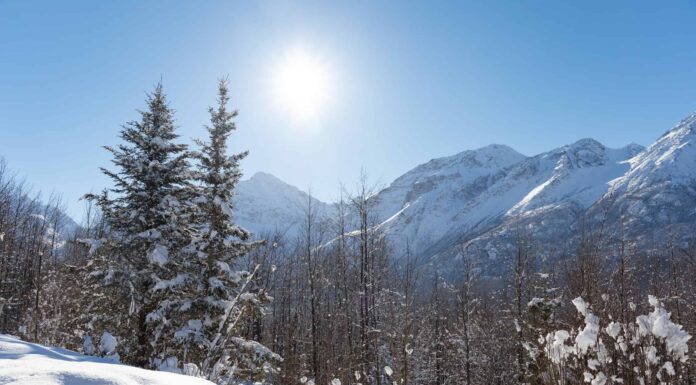 Scopri il gennaio più freddo mai registrato in Alaska
