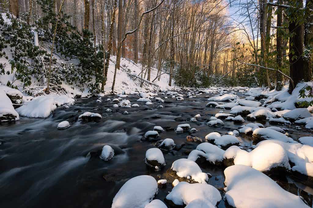 Tennesse Inverno