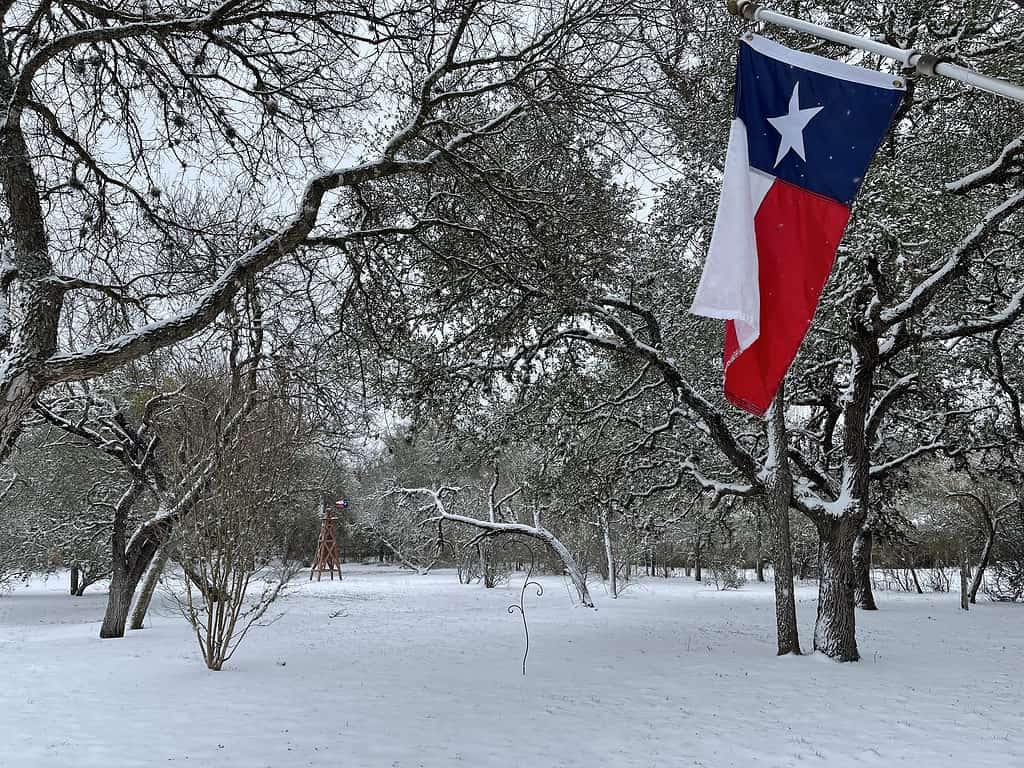 La neve del Texas