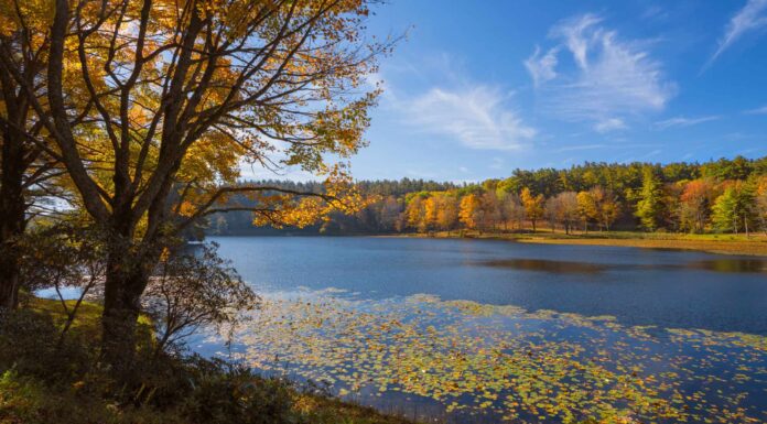 Scopri il lago più profondo della Carolina del Nord
