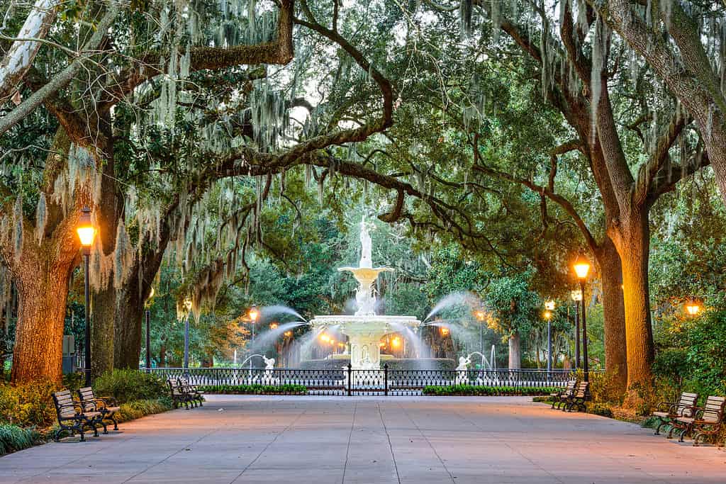 Savannah, Georgia, Stati Uniti d'America alla Forsyth Park Fountain.