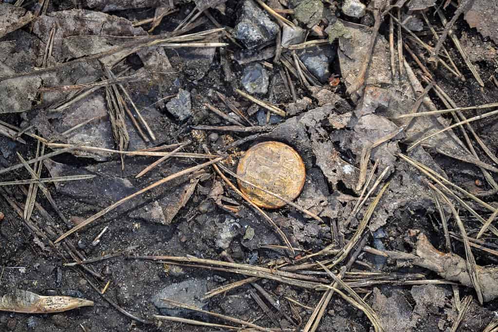 Vecchia moneta d'oro trovata nel terreno