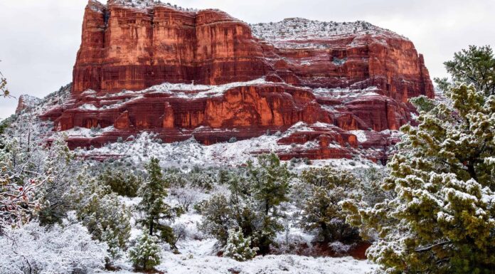 Scopri la temperatura più fredda mai registrata in Arizona
