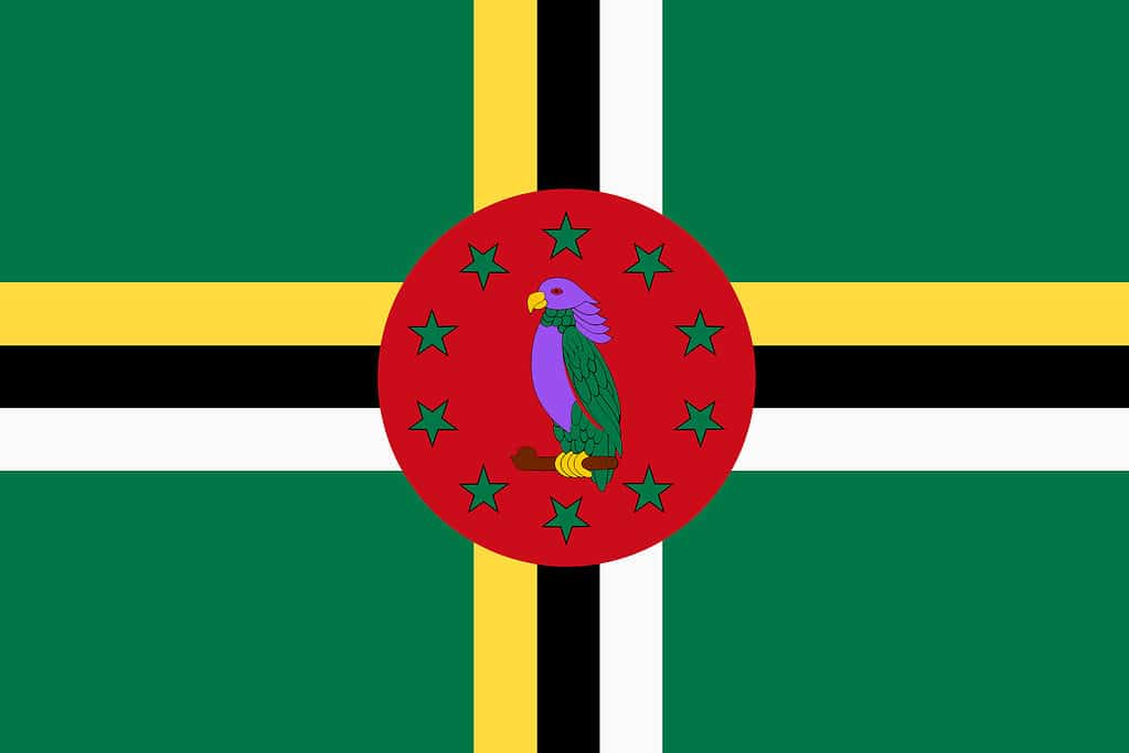 Bandiera Dominica sfondo illustrazione verde giallo nero rosso sisserou pappagallo