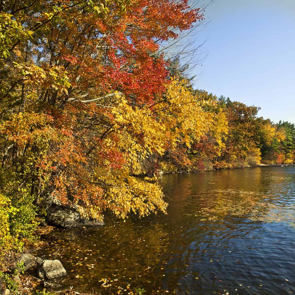 Bare Hill Pond, Massachusetts