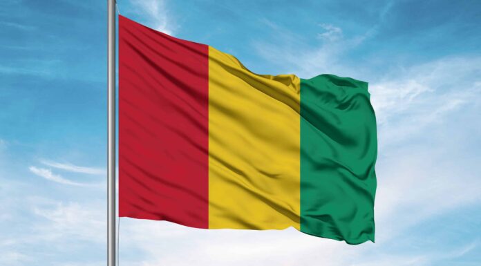 La bandiera della Guinea: storia, significato e simbolismo
