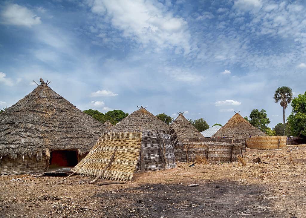 Guinea Bissau