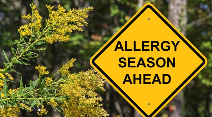 Stagione allergica della Louisiana: picco, tempistica e sintomi
