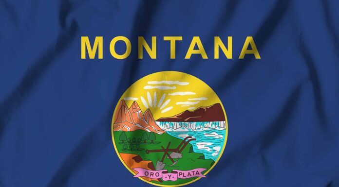 La bandiera del Montana: storia, significato e simbolismo
