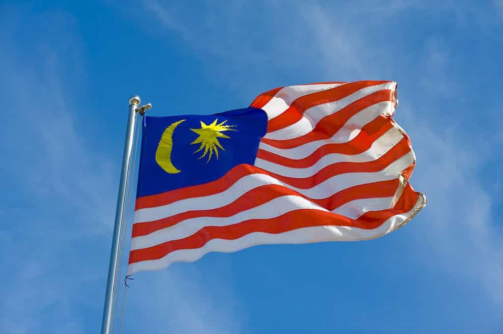 Bandiera della Malesia che fluttua nel vento