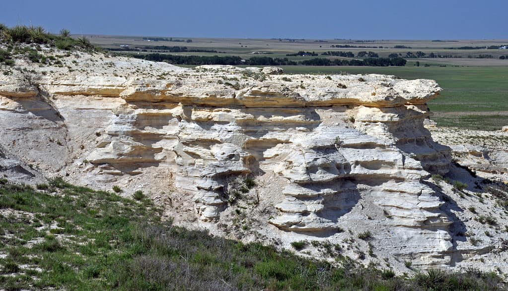 Gesso nel Cretaceo del Kansas, USA.
