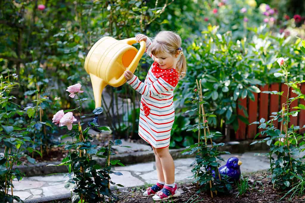 Bellissima bambina in vestito rosso colorato che innaffia i fiori di rose sboccianti con la lattina d'acqua per bambini.  Bambino felice che aiuta nel giardino di famiglia, all'aperto in una calda giornata soleggiata e luminosa
