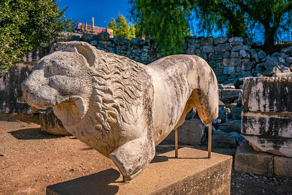 Figura del leone di Didyma, rovine di un antico santuario greco